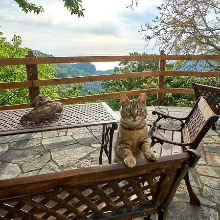 Апартаменты Thalassoxyla Thalassa Цагарада