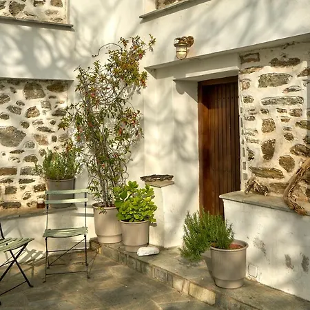 Thalassoxyla Thalassa *